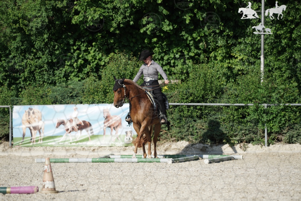 s_APF06956.jpg